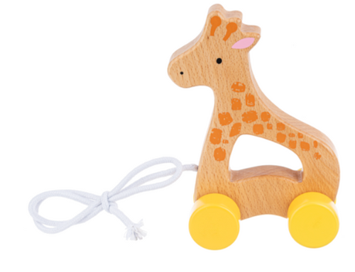 Ganz - Wooden Pull Toy