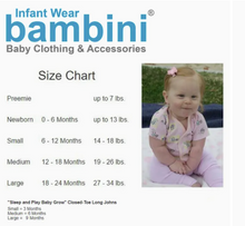 Load image into Gallery viewer, Bambini - Long Sleeve Onesie (SINGLE)